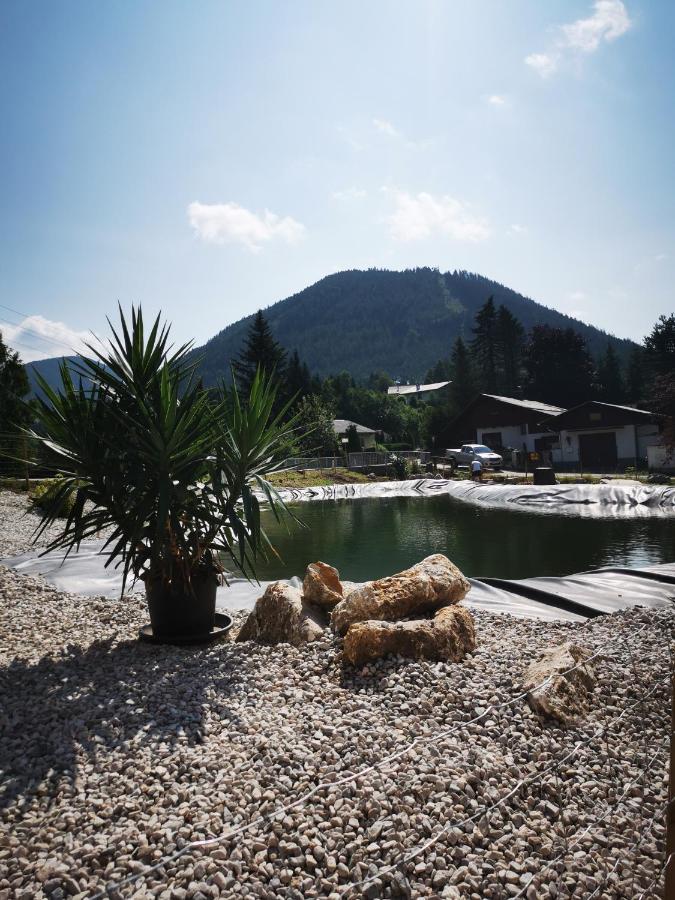 Fruehstueckspension Gasthof Gesslbauer Steinhaus am Semmering Екстериор снимка