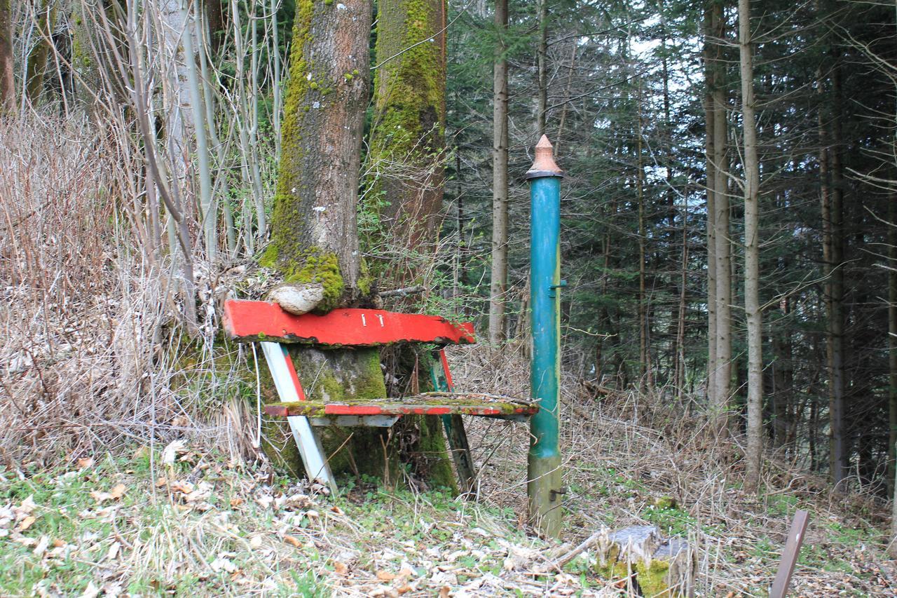 Fruehstueckspension Gasthof Gesslbauer Steinhaus am Semmering Екстериор снимка