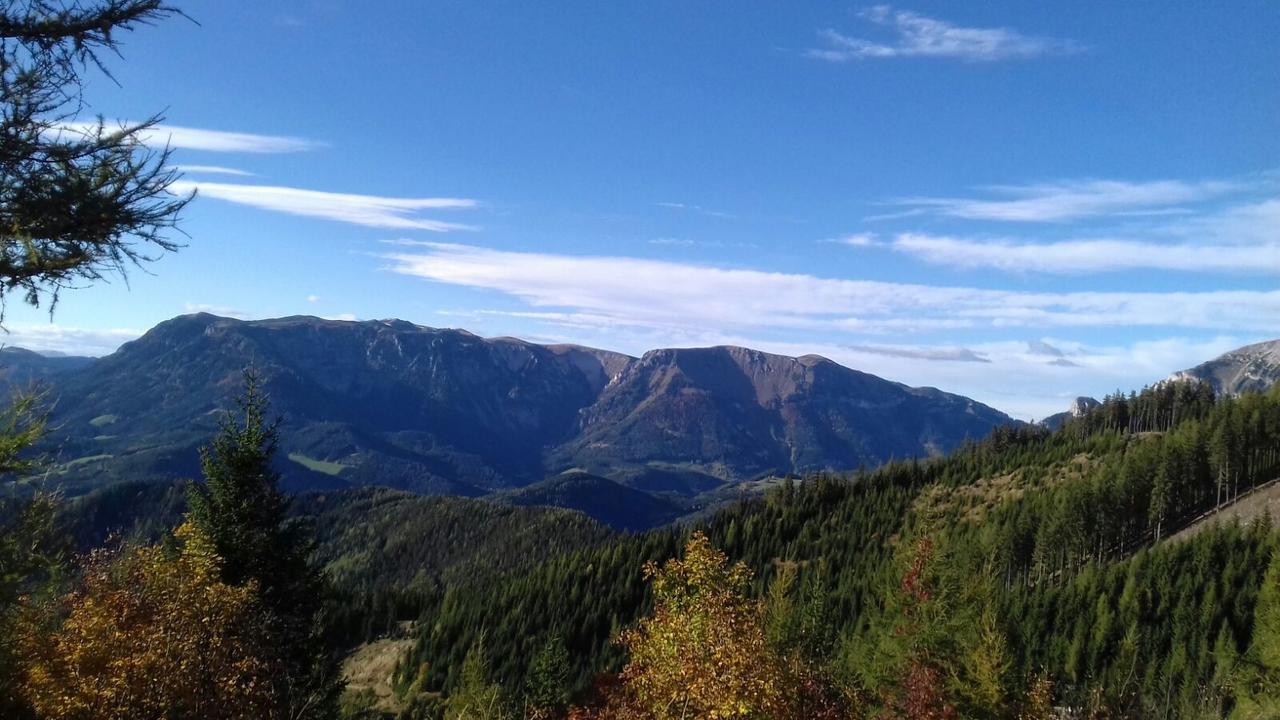 Fruehstueckspension Gasthof Gesslbauer Steinhaus am Semmering Екстериор снимка