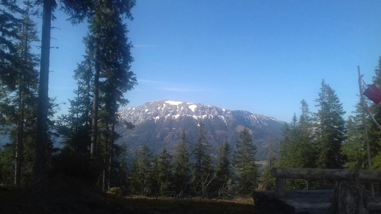 Fruehstueckspension Gasthof Gesslbauer Steinhaus am Semmering Екстериор снимка